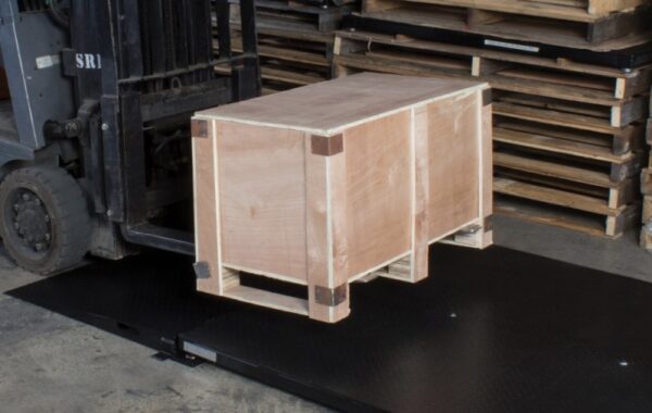 Detecto WPB Waterproof NTEP Legal for Trade Scales - starting at $415 - Image 3