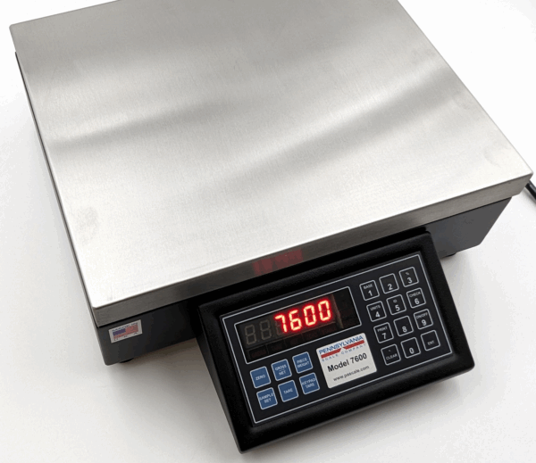 Pennsylvania 7600HR Series High Resolution Count/Weigh Scale - Image 2