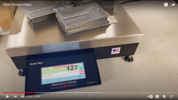 Pennsylvania SS7800MAX-1616-250 – 6500 Series Stainless Steel Wash Down Base, 7800MAX indicator and 18" SS Column, 16" X 16" - Image 6