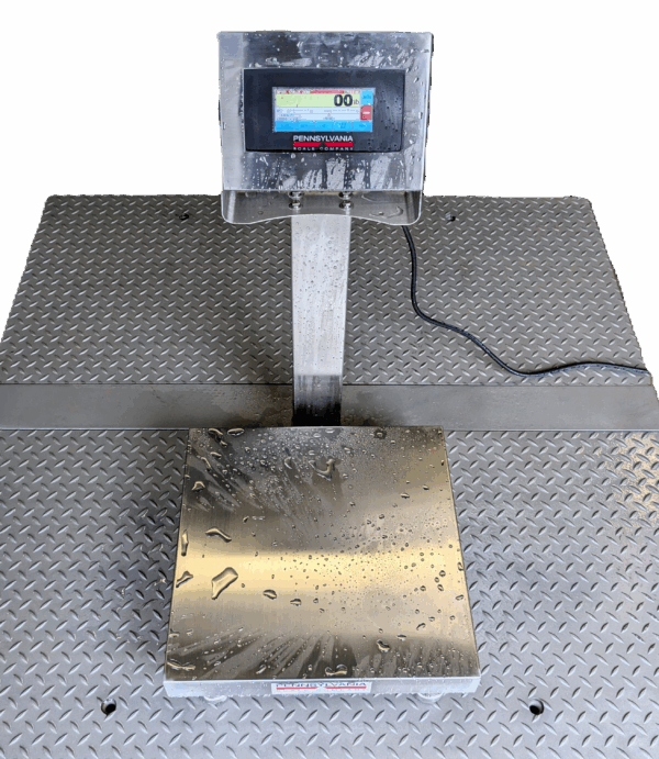Doran 2200CW Stainless Steel Checkweigh Scale - 20" column  - Image 4