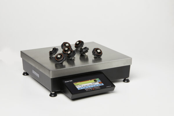 Pennsylvania 7800-100HR – 7800 Series Bench Count Weigh Scale, 12" X 14" - Image 7