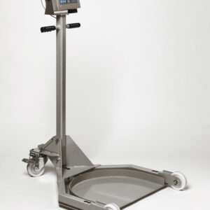 Doran 4300 Stainless Steel Checkweigh Scale - 20" column 