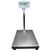 Floor Scale, Digital, Portable, 800 lb x .2 lb / 360 kg x .1 kg, 18" x 14" Platform