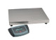 Low Profile Digital Healthcare Scale